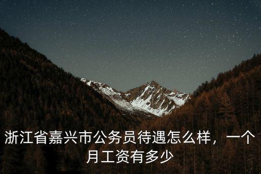 嘉興樂高工資多少錢一個月,樂高員工一個月多少錢