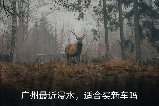 廣州最近浸水，適合買新車嗎