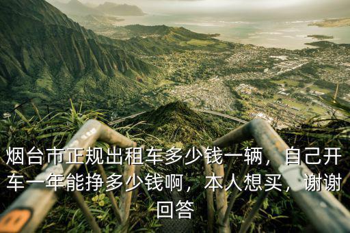 煙臺市正規(guī)出租車多少錢一輛，自己開車一年能掙多少錢啊，本人想買，謝謝回答