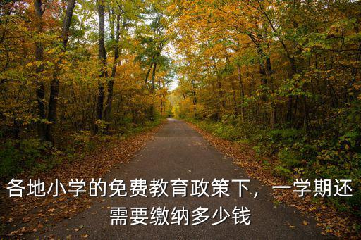 深圳小學(xué)多少錢一學(xué)期,在深圳上民辦小學(xué)