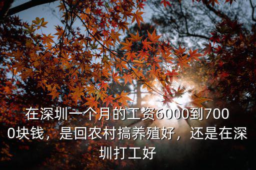 在深圳一個月的工資6000到7000塊錢，是回農村搞養殖好，還是在深圳打工好