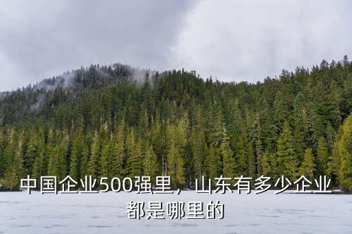 青島有多少家500強(qiáng)企業(yè),中國(guó)企業(yè)500強(qiáng)里