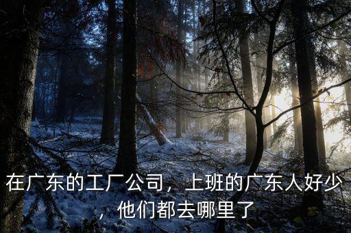 在廣東的工廠公司，上班的廣東人好少，他們都去哪里了