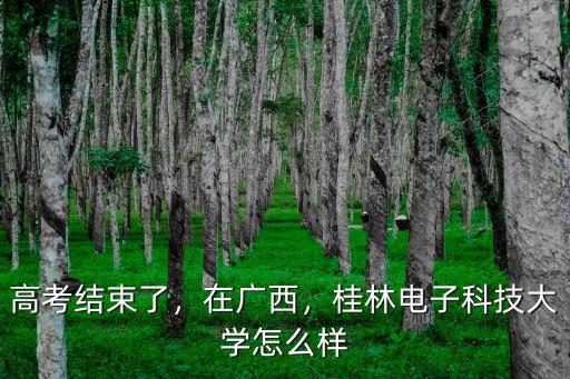 深圳權(quán)盟電子科技怎么樣,桂林電子科技大學(xué)怎么樣