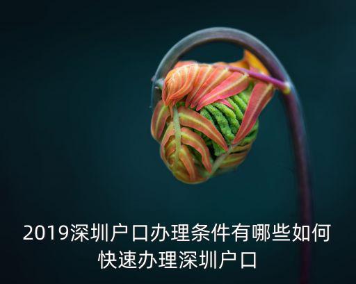怎么樣有深圳戶口,怎么樣能拿到一個深圳戶口