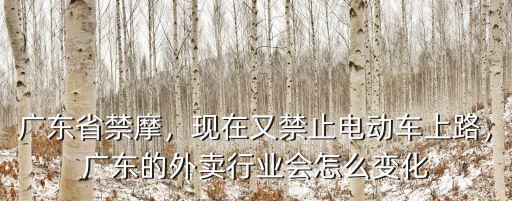 廣東省禁摩，現在又禁止電動車上路，廣東的外賣行業會怎么變化