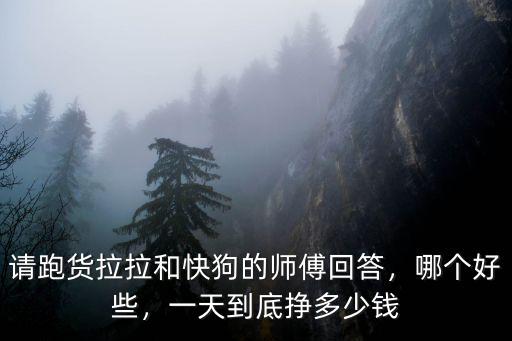 在江門(mén)做貨拉拉一個(gè)月找到多少錢(qián),一天到底掙多少錢(qián)