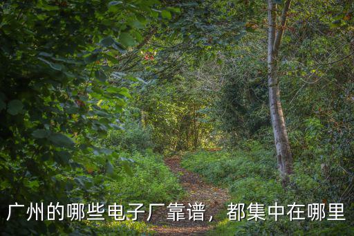 廣州的廠主要集中在哪里,工廠集中在哪里