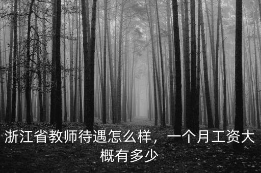 浙江省教師待遇怎么樣，一個月工資大概有多少