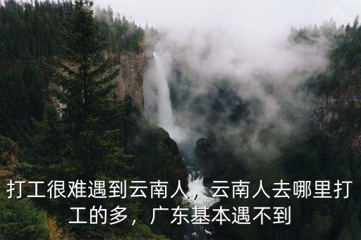 打工很難遇到云南人，云南人去哪里打工的多，廣東基本遇不到
