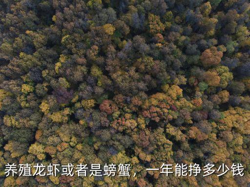 深圳龍蝦店一年賺多少錢,養(yǎng)殖龍蝦或者是螃蟹