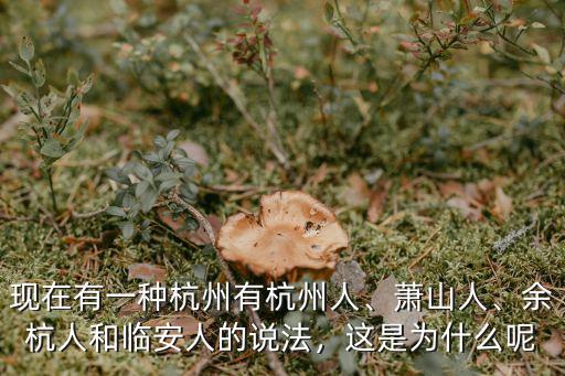 杭州的人口現在有多少,余杭人和臨安人的說法