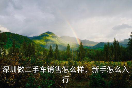 深圳京廣二手車市場(chǎng)怎么樣,深圳做二手車銷售怎么樣