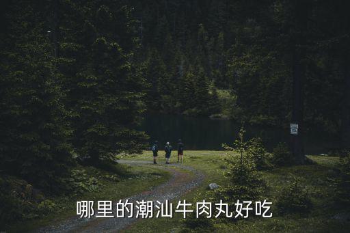 在汕頭去哪里買牛肉丸,哪里的潮汕牛肉丸好吃