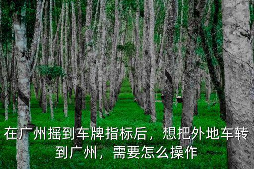 沒車怎么搖廣州車牌,在廣州搖到車牌指標后