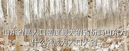 山東省是人口密度最大的省份嗎山東為什么會成為人口大省