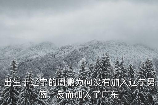 出生于遼寧的周鵬為何沒(méi)有加入遼寧男籃，反而加入了廣東