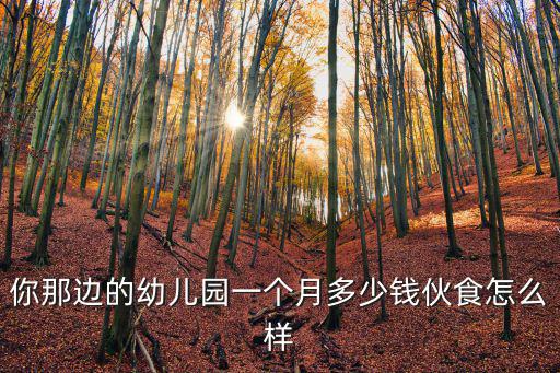 你那邊的幼兒園一個(gè)月多少錢(qián)伙食怎么樣