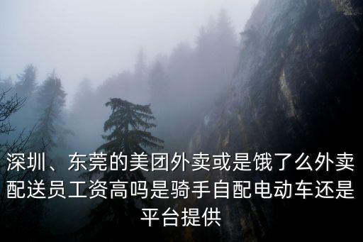 深圳、東莞的美團外賣或是餓了么外賣配送員工資高嗎是騎手自配電動車還是平臺提供