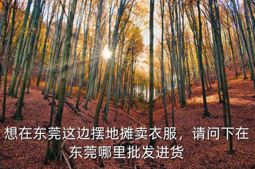 東莞哪里買衣服批發便宜賣,想在東莞這邊擺地攤賣衣服