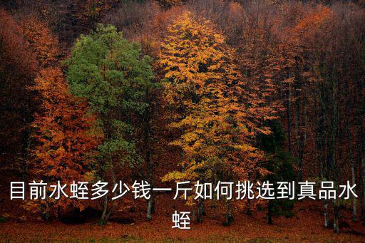 浙江螞蝗多少錢一斤,螞蝗干一斤接近千元