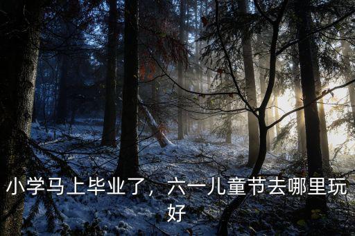 六一兒童節(jié)到哪里去玩中山,6月1日兒童節(jié)去哪兒玩