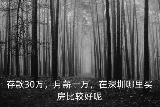 存款30萬，月薪一萬，在深圳哪里買房比較好呢