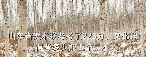 山東省美術聯考考了225分，文化課得考多少能上個二本