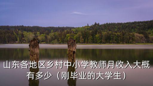 山東菏澤小學教師工資多少錢,初中教師一個月工資有多少錢
