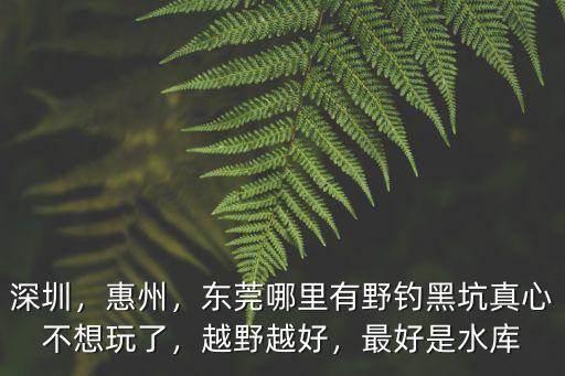 深圳，惠州，東莞哪里有野釣黑坑真心不想玩了，越野越好，最好是水庫