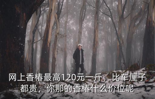 網上香椿最高120元一斤，比車厘子都貴，你那的香椿什么價位呢