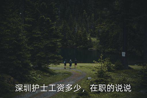 深圳護士工資多少，在職的說說