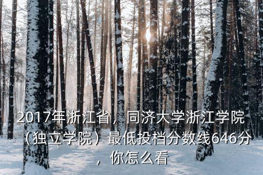 2017年浙江省，同濟大學浙江學院（獨立學院）最低投檔分數(shù)線646分，你怎么看