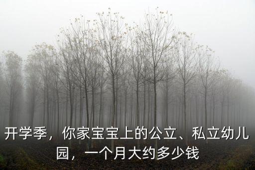 開學(xué)季，你家寶寶上的公立、私立幼兒園，一個月大約多少錢