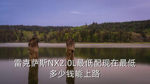 東莞雷克薩斯nx優惠多少錢,雷克薩斯NX現在有優惠嗎