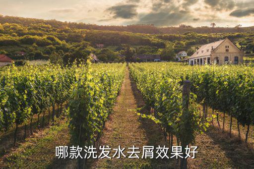 汕頭市去屑洗發水哪里有賣,哪款洗發水去屑效果好
