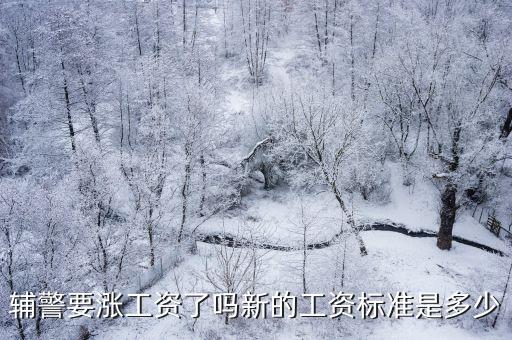輔警要漲工資了嗎新的工資標準是多少