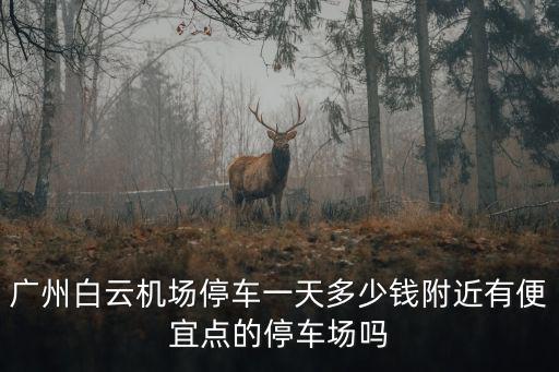 廣州停車場大概每天價格是多少錢,附近有便宜點的停車場嗎
