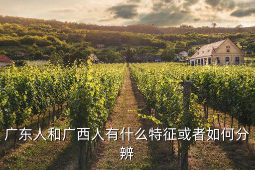 廣西人有多少廣東人,廣西南寧為什么有很多廣東人