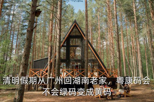 剛從廣州回老家怎么辦,清明假期從廣州回湖南老家