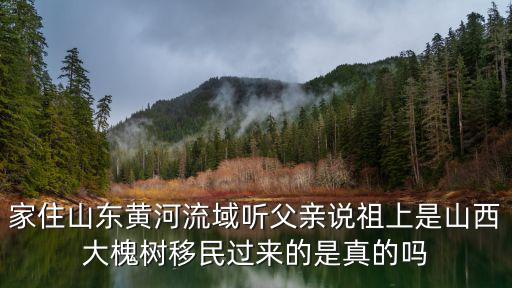 山東的大槐樹移民有多少,洪洞大槐樹移民是人為建造的