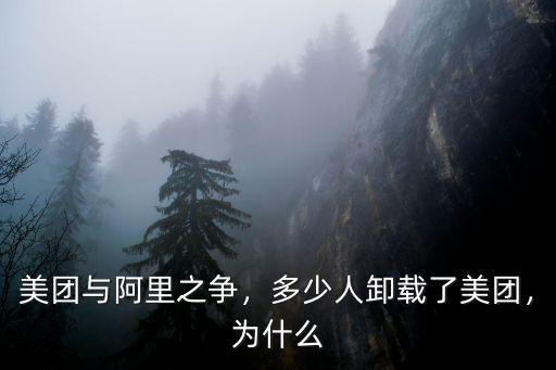 溫州美團有多少人用,多少人卸載了美團