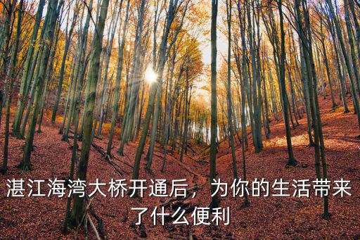 湛江海灣大橋年票過期了怎么辦,湛江海灣大橋開通后