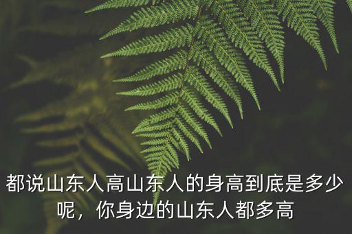 山東人的平均身高多少,為什么山東人長的高