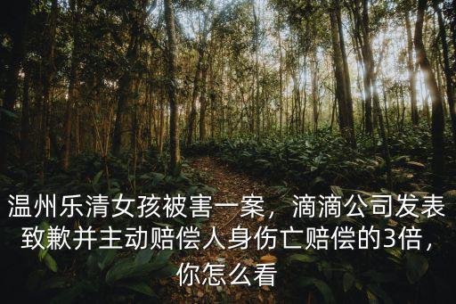 浙江樂清命案滴滴公司賠償多少,重罰滴滴公司要求其賠償
