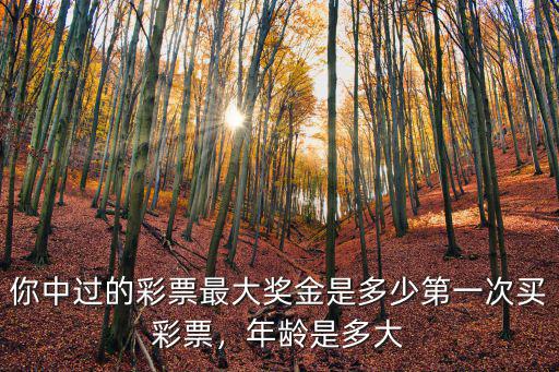 山東省最高獎獎金是多少,福彩最大獎又是多少