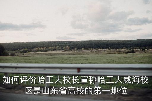 如何評價哈工大校長宣稱哈工大威海校區是山東省高校的第一地位