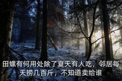 廣東哪里有田螺賣,哪里人最喜歡吃田螺