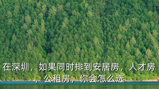 在深圳，如果同時排到安居房，人才房，公租房，你會怎么選