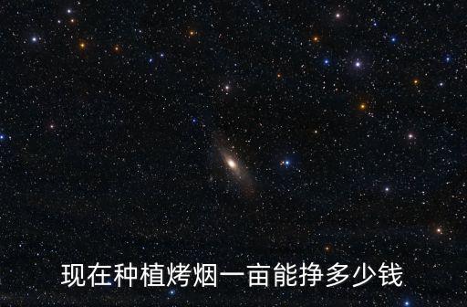 現在種植烤煙一畝能掙多少錢